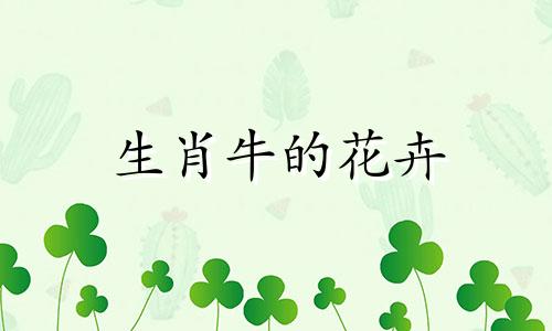 生肖牛的花卉 牛属什么花