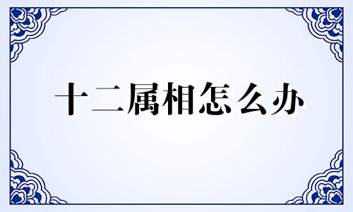 十二属相怎么办 十二生肖相处攻略