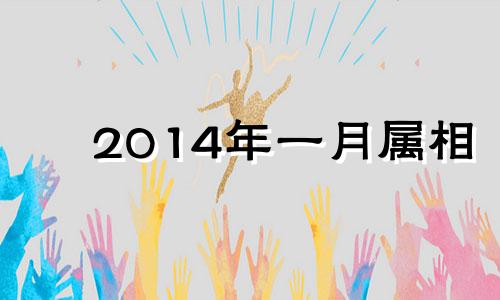 2014年一月属相 2014年1月属什么生肖什么命