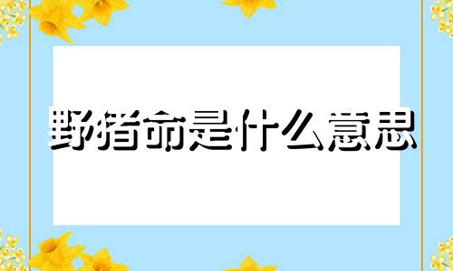 野猪命是什么意思 野猪解释