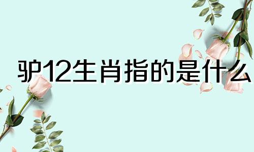 驴12生肖指的是什么 驴骡的意思