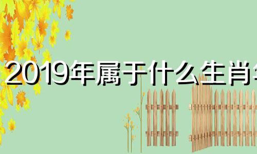 2019年属于什么生肖年? 2019年是什么生肖年 -十二生肖网