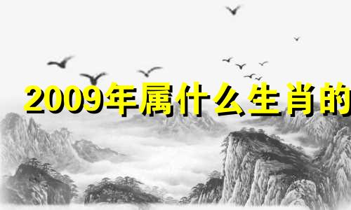 2009年属什么生肖的? 2009年是属于什么生肖