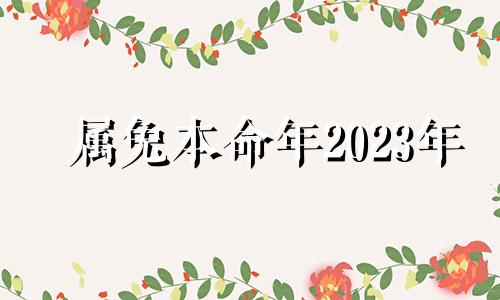 属兔本命年2023年 2023兔年本命年好不好