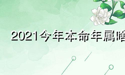 2021今年本命年属啥 2021今年是本命年的应该是多少岁