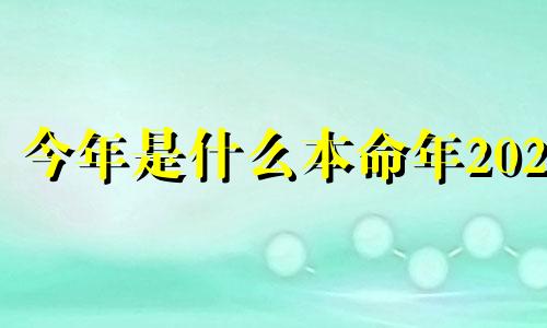 今年是什么本命年2024 2023年是什么本命年