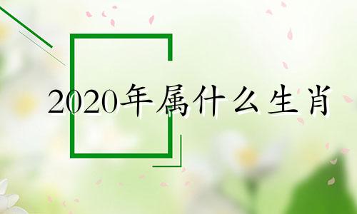 2020年属什么生肖 2020年属什么生肖几岁