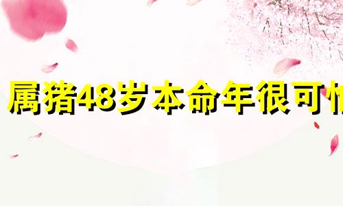 属猪48岁本命年很可怕 属猪48岁什么命