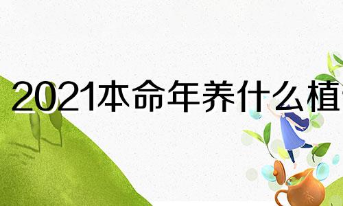 2021本命年养什么植物 本命年养什么花好