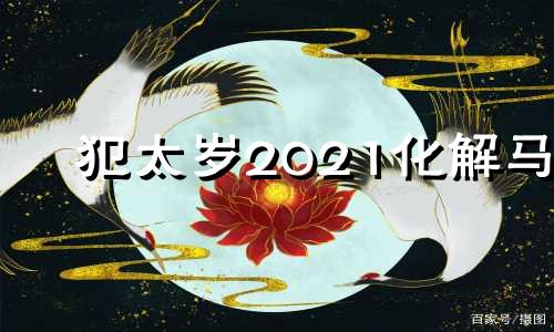 犯太岁2021化解马 马犯太岁2022