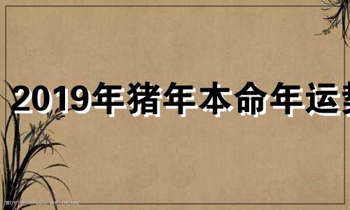 2019年猪年本命年运势 2019年猪的本命佛是哪尊佛