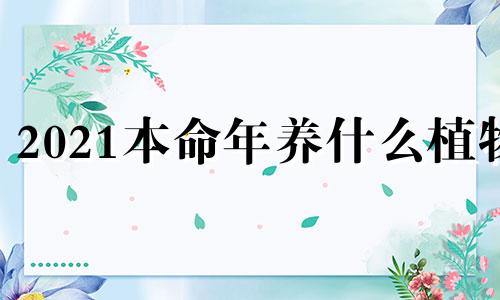 2021本命年养什么植物 本命年适合种什么植物