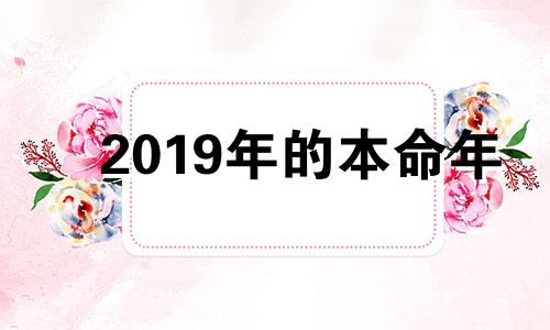 2019年的本命年 2019年本命年运势如何