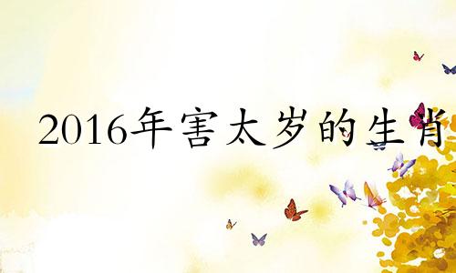 2016年害太岁的生肖 2016年犯太岁最凶的四大生肖