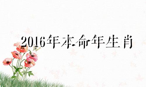 2016年本命年生肖 2016年的本命年是什么年