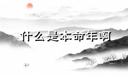 什么是本命年啊 什幺叫本命年