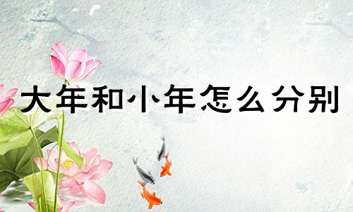 大年和小年怎么分别 大年小年怎么区分