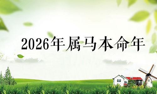 2026年属马本命年 马本命年的大忌