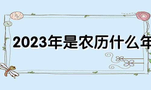 2023年是农历什么年 甲辰年是什么龙