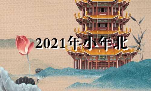 2021年小年北 2024年上小学是哪年出生的