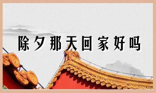 除夕那天回家好吗 2021年除夕能回家吗