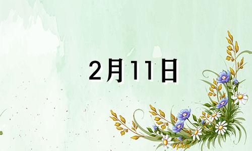 2月11日 除夕 2021年2月10日除夕