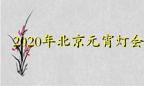 2020年北京元宵灯会 北京元宵节灯会2021节目单