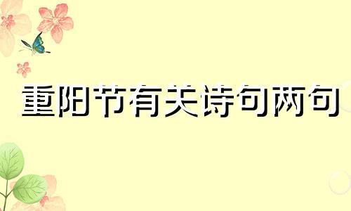 重阳节有关诗句两句 重阳节有关诗句北宋