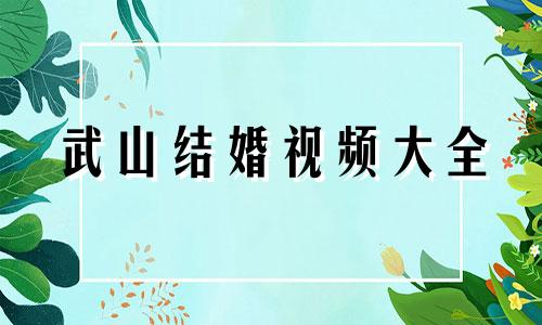 武山结婚视频大全 甘肃武山结婚都有哪些环节