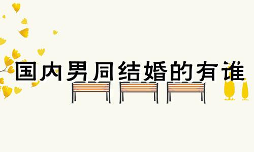 国内男同结婚的有谁 男同在中国不能结婚可以领什么证件