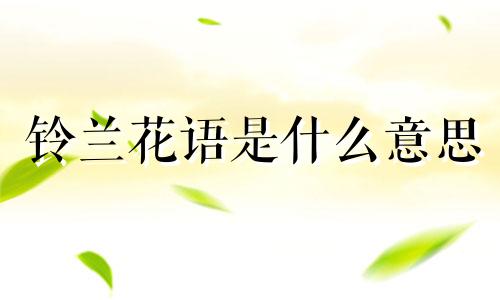 铃兰花语是什么意思 铃兰花语图片大全