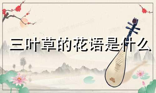 三叶草的花语是什么 四叶草的寓意和象征