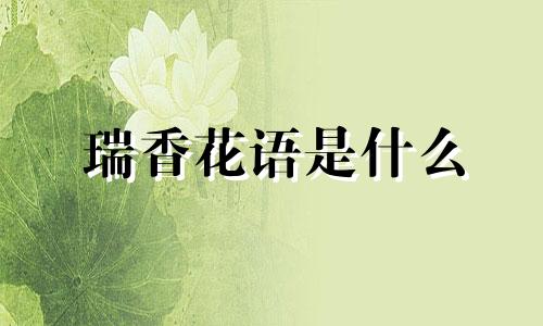 瑞香花语是什么 瑞香花代表着什么