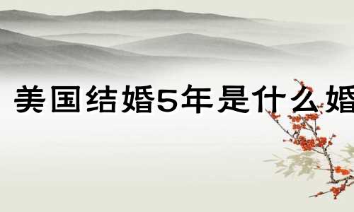 美国结婚5年是什么婚