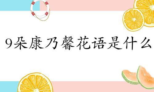 9朵康乃馨花语是什么 10朵康乃馨花语是什么