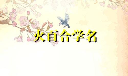 火百合学名 火百合怎么养