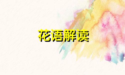 花语解读 花语这个词是什么意思