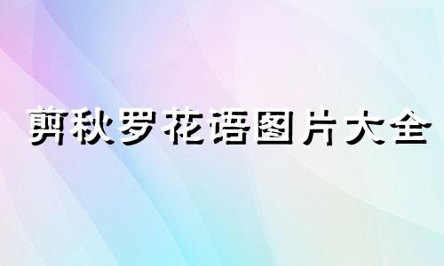 剪秋罗花语图片大全 剪秋罗花图片拟人句