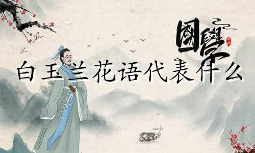 白玉兰花语代表什么 白玉兰花寓意是什么