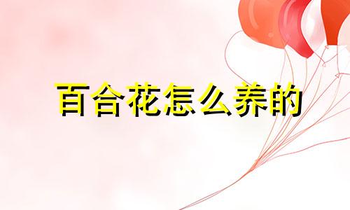 百合花怎么养的 百合花要怎么养活