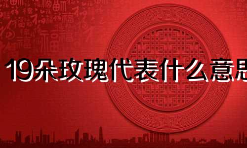 19朵玫瑰代表什么意思 9朵玫瑰代表什么意思