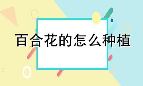 百合花的怎么种植 百合花种植步骤