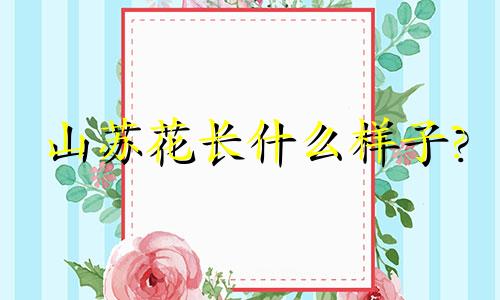 山苏花长什么样子? 山苏花阅读理解与答案