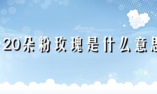 20朵粉玫瑰是什么意思 20朵粉色玫瑰