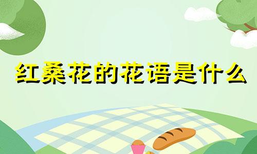 红桑花的花语是什么 红桑树功效与作用