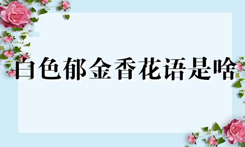 白色郁金香花语是啥 白色郁金香 唯美