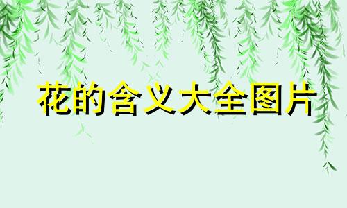 花的含义大全图片 花的含义及代表意思