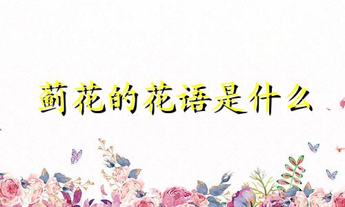 蓟花的花语是什么 蓟花图案