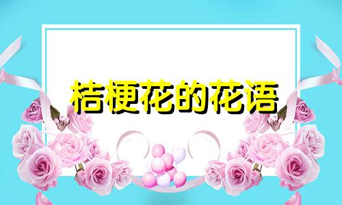 桔梗花的花语 传说 桔梗花含义