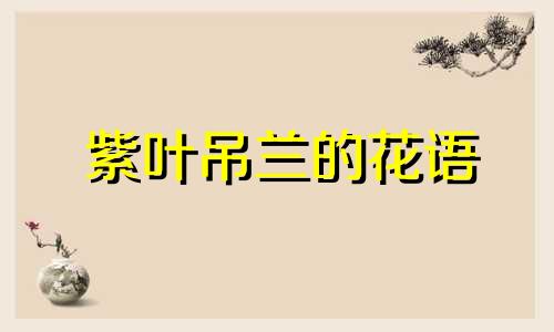 紫叶吊兰的花语 紫叶吊兰花怎么养